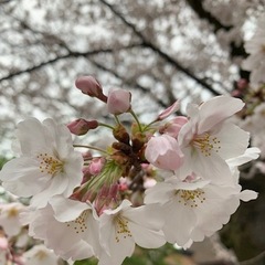 新学期のお知らせ